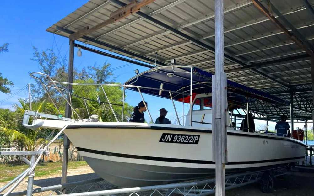 Deep Sea Fishing