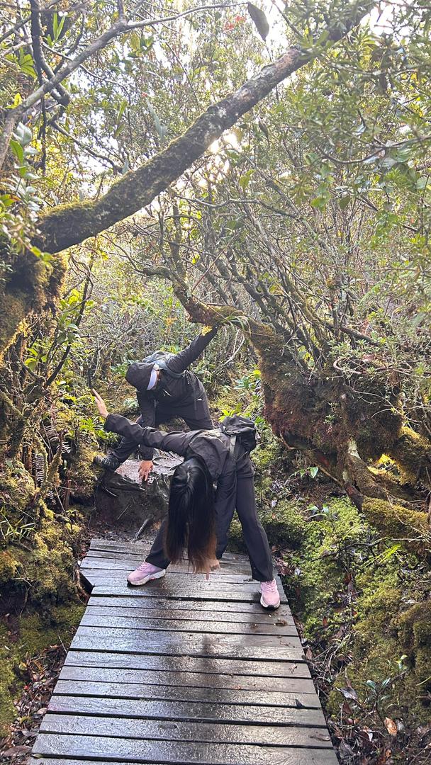 Maragang Hill Sea of Clouds