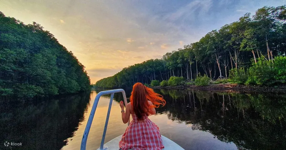 Mangrove River
