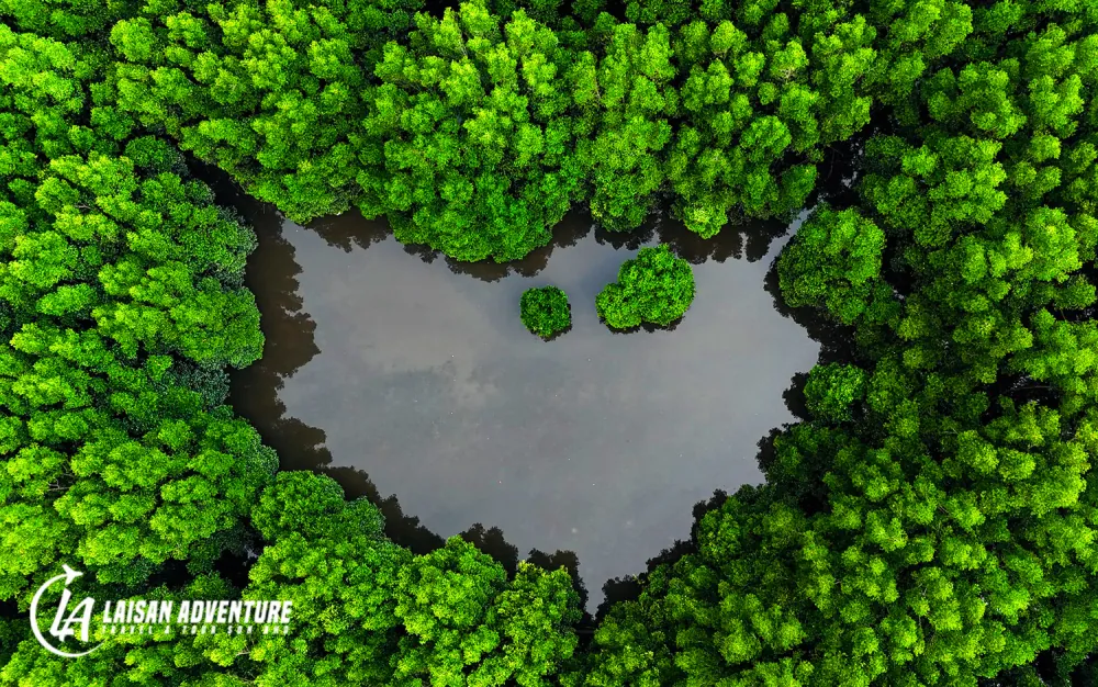 Sabah Wetland KK Site