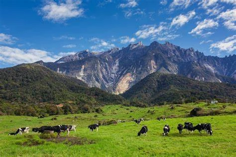 Kundasang and Mount Kinabalu view - Sabah highlands package